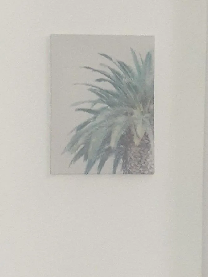 1er piso, 3 Habitaciones con piscina wifi, netflix Santiago De Los Caballeros Apartamento